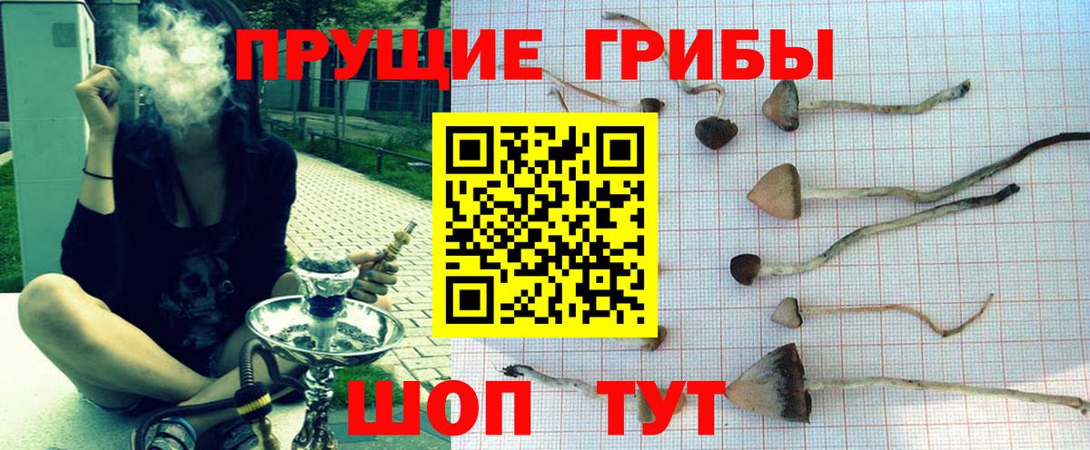 Галлюциногенные грибы Cubensis Обь